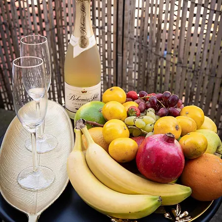 Royal Horizon Penthouse * Praag